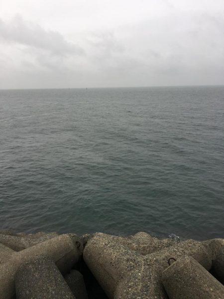 ショアジギング