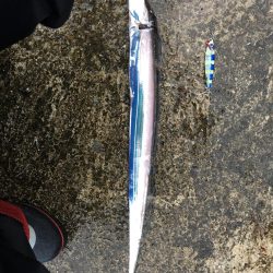 3ヒット2キャッチ 新ロッド入魂