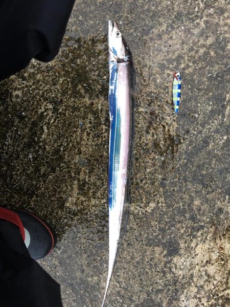 3ヒット2キャッチ 新ロッド入魂