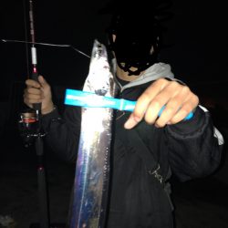 ちょいとタチウオ