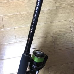 タチウオまみれ…かと思いきや