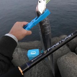 寒くなってきました