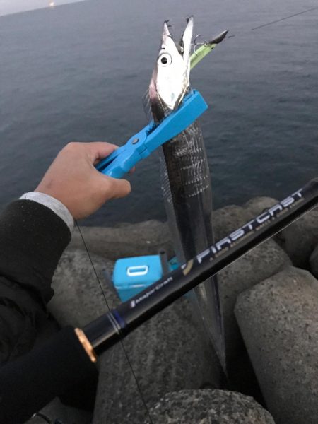 寒くなってきました