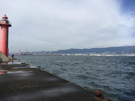 武庫川一文字でサゴシ