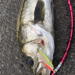 まさかの投げ練中のヒット！