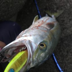 寒すぎルンデス