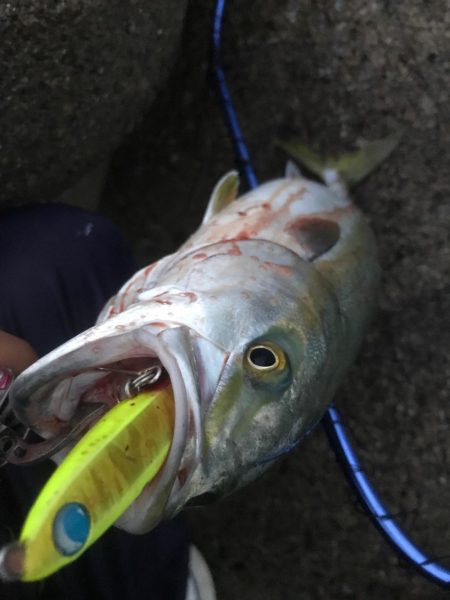 寒すぎルンデス