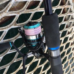 ルアーに反応しなくなったハマチ！アオリイカにマダイ