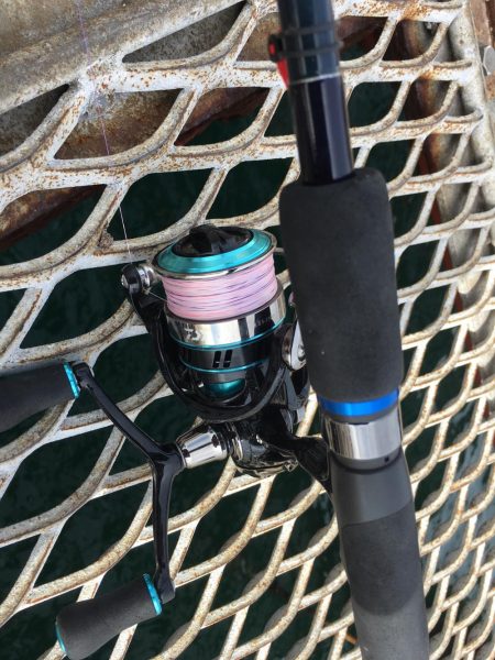 ルアーに反応しなくなったハマチ！アオリイカにマダイ