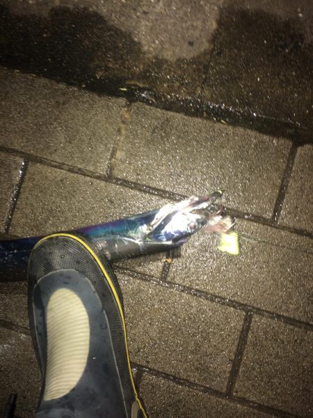 イワシの引き釣り