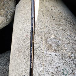 ハマチの回遊一瞬！