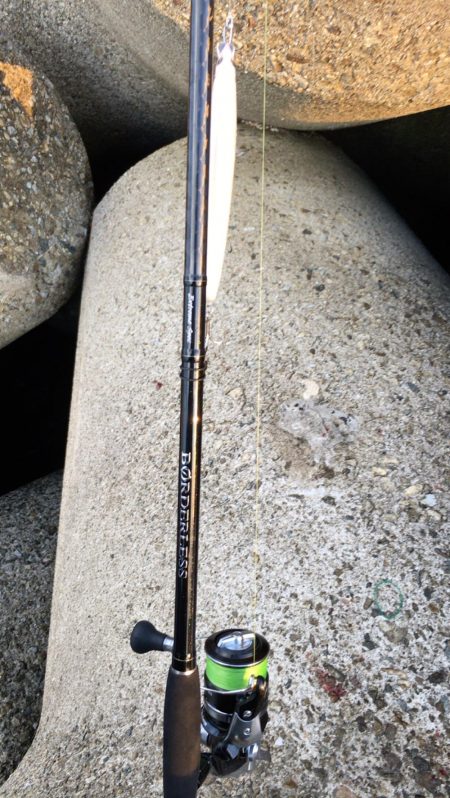 ハマチの回遊一瞬！