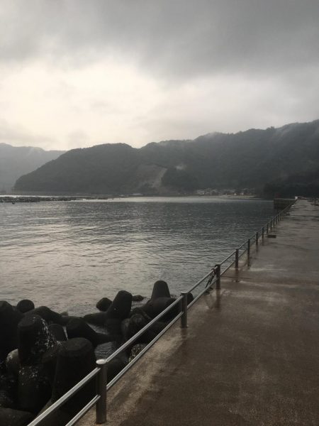 雨 小浜  エギング
