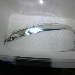 小雨の中の釣行