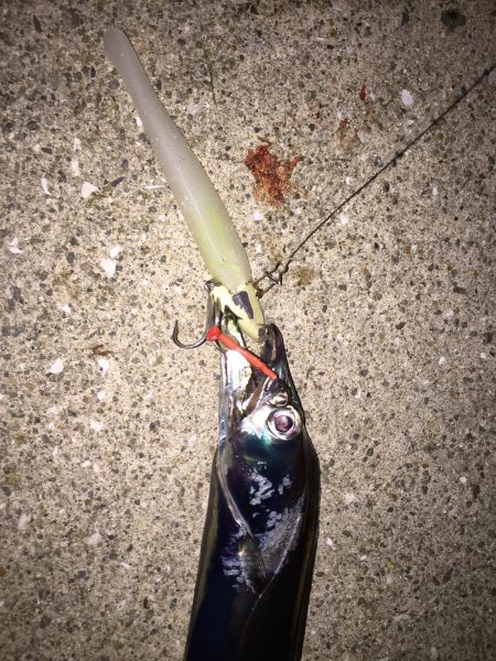 やっとタチウオ釣ったったわー