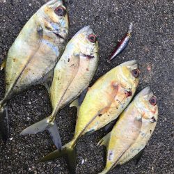 タチウオ、メッキ