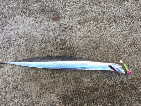 渋くなりました