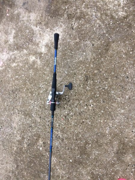 宮ノ浦でエギング