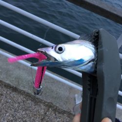 風が強くなってきました