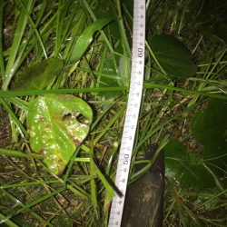 テスト勉強の息抜き。