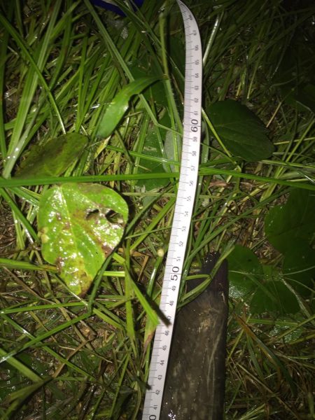 テスト勉強の息抜き。