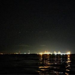 ナイトウェーディング