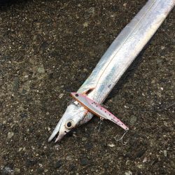 ポーアイ沖堤ショアジギング