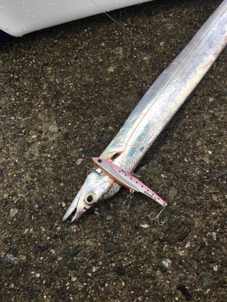 ポーアイ沖堤ショアジギング