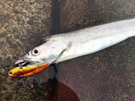 昼太刀イレブン