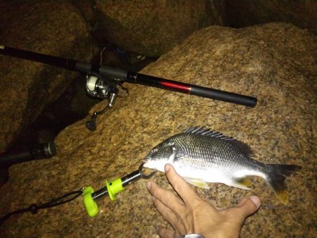 初の手のひら以上キビレ