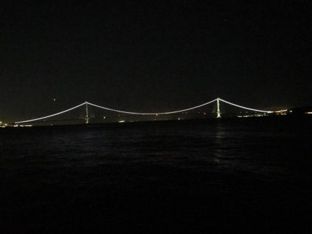 チビガシラのみ