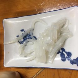 台風前大曽根漁港