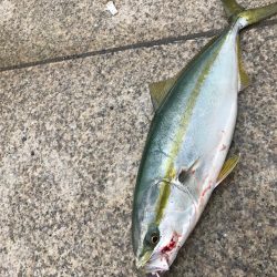 嵐の前の静けさ。