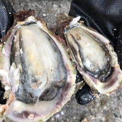 ジグヘッドでエサ釣り