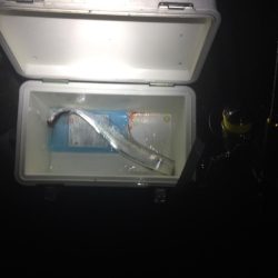 雨の中ボウズは逃れました