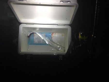 雨の中ボウズは逃れました