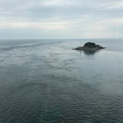 アジング6種目！