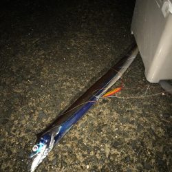 嵐の前の2時間釣行