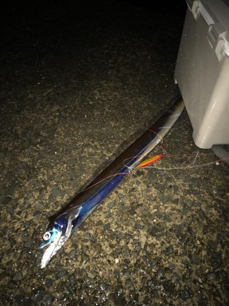 嵐の前の2時間釣行