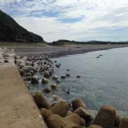 台風前の短時間勝負！