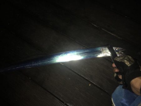 大阪奥湾ワインド 中央突堤