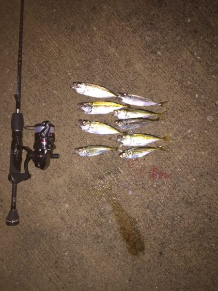 たいとあじ@岩屋