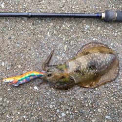 台風前のエギング