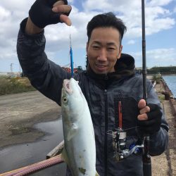 高砂エリア☆台風後調査〜