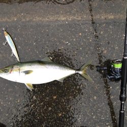 きたきたきたー