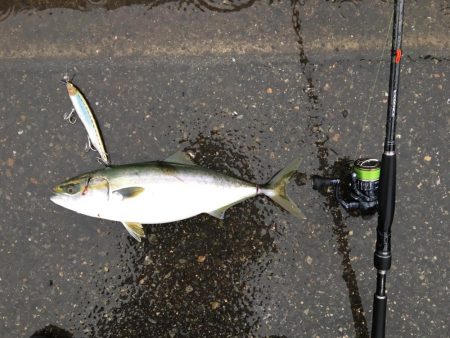 きたきたきたー