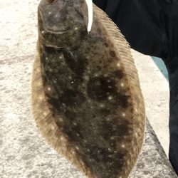 また、ソゲでした…