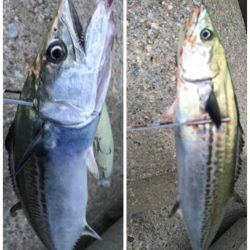 これぞ台風後の…?