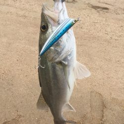 台風後 ウェーディング