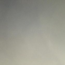 アオリイカは、どこへ